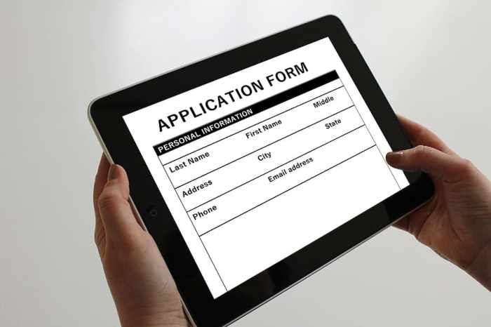 Person, holding, tablet, displaying, application form, tablet computer ...